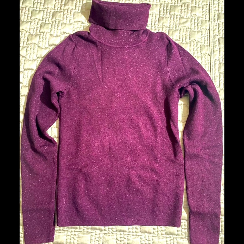 Turtleneck Sweater